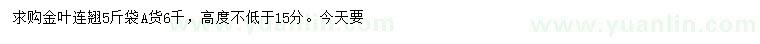 求購(gòu)高度15公分以上金葉連翹