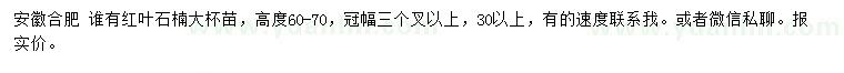 求購(gòu)高度60-70公分紅葉石楠
