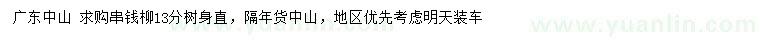 求購13公分串錢柳