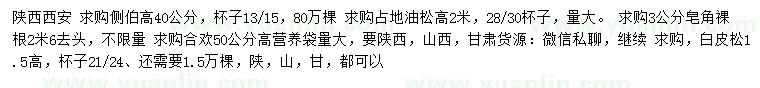 求購側(cè)伯、油松、皂角等