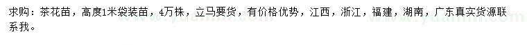 求購高度1米茶花苗