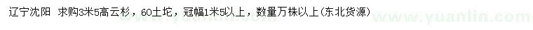 求購(gòu)高3.5米云杉