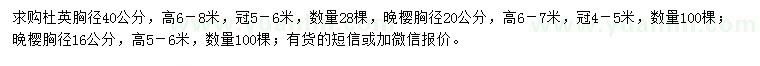 求購胸徑40公分杜英、16、20公分晚櫻