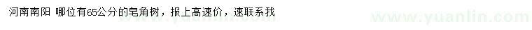 求購65公分皂角樹(shù)