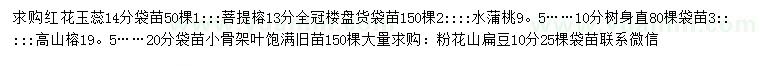 求購紅花玉蕊、菩提榕、水蒲桃等