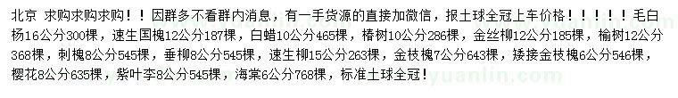 求購(gòu)毛白楊、速生國(guó)槐、白蠟等