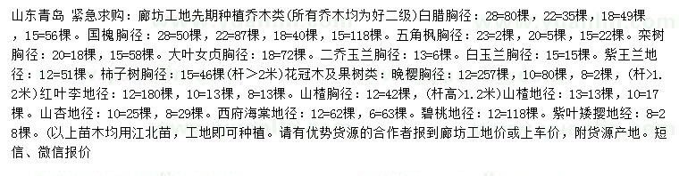 求購(gòu)白臘、國(guó)槐、五角楓等
