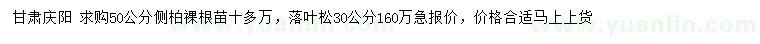 求購50公分側(cè)柏、30公分落葉松