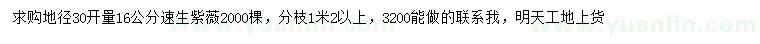 求購16公分速生紫薇