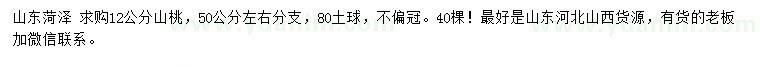 求購12公分山桃