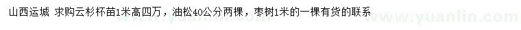 求購云杉、油松、棗樹