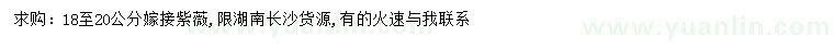 求購18-20公分嫁接紫薇