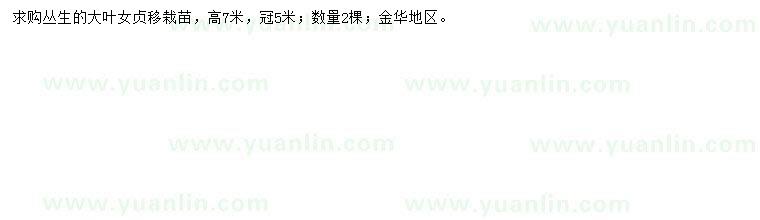 求購高7米叢生大葉女貞苗