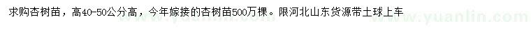 求購(gòu)高40-50公分杏樹(shù)苗