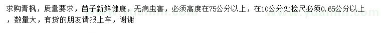 求購(gòu)高75公分以上青楓