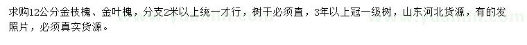 求購12公分金枝槐、金葉槐