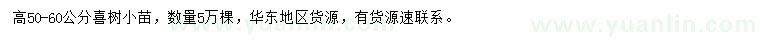 求購高50-60公分喜樹小苗