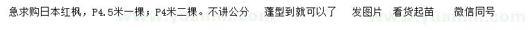 求購(gòu)冠幅4、4.5米日本紅楓