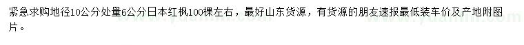 求購(gòu)地徑10公分處量6公分日本紅楓