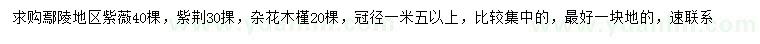 求購(gòu)紫薇、紫荊、雜花木槿