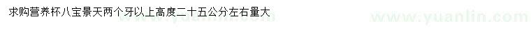 求購(gòu)高度25公分八寶景天