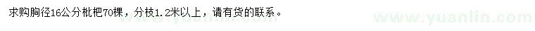 求購胸徑16公分枇杷