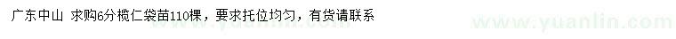 求購6公分欖仁