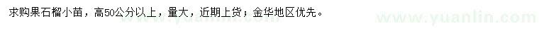 求購高50公分以上果石榴小苗