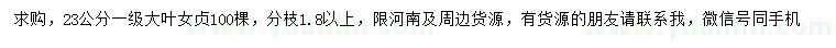 求購23公分大葉女貞