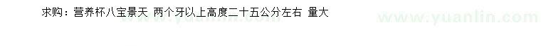求購(gòu)高度25公分左右八寶景天