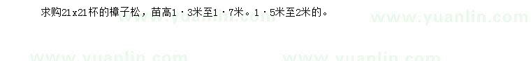 求購高1.3-2米樟子松