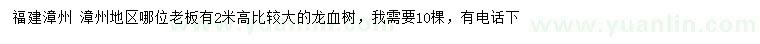 求購高2米龍血樹
