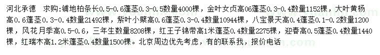 求購鋪地柏、金葉女貞、大葉黃楊等