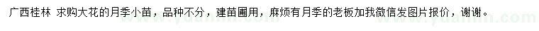求購月季小苗
