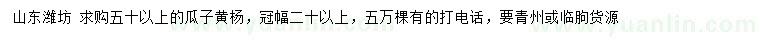 求購50公分以上瓜子黃楊