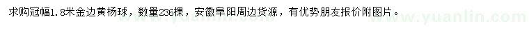 求購冠幅1.8米金邊黃楊球