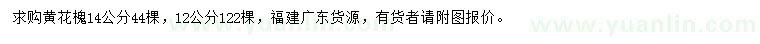 求購(gòu)12、14公分黃花槐