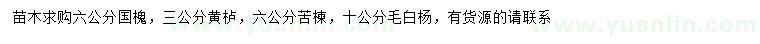 求購國槐、黃櫨、苦楝