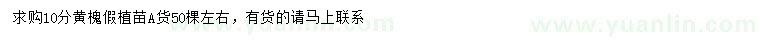 求購10公分黃槐假植苗