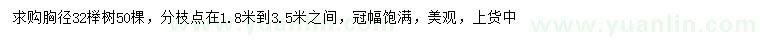 求購胸徑32公分櫸樹