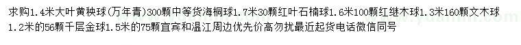 求購大葉黃秧球（萬年青）、海桐球、紅葉石楠球等