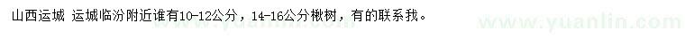 求購10-12、14-16公分楸樹