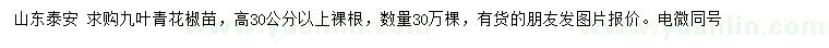 求購高30公分以上九葉青花椒苗