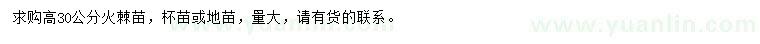 求購高30公分火棘苗