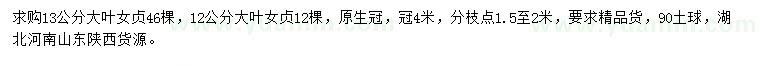 求購12、13公分大葉女貞