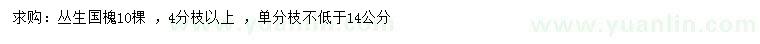 求購4分枝以上叢生國槐