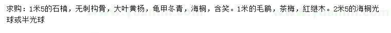 求購(gòu)石楠、無(wú)刺構(gòu)骨、大葉黃楊等