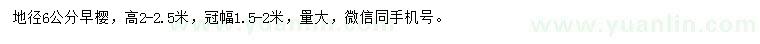 求購地徑6公分早櫻