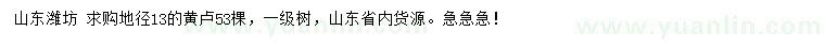 求購地徑13公分黃櫨