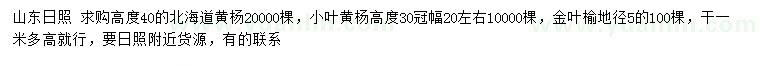 求購北海道黃楊、小葉黃楊、金葉榆